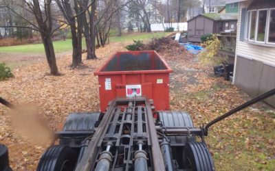 30 yard dumpster rented in Georgetown, MA for yard waste.