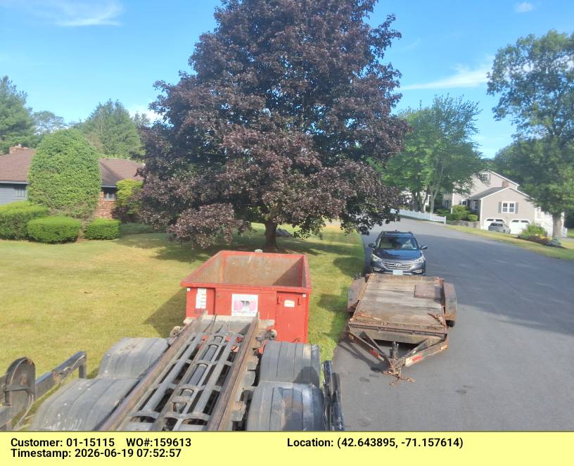 Residential street with a large tree, a red dumpster, and a trailer loaded with equipment along the curbside, cars parked in the distance to the right.